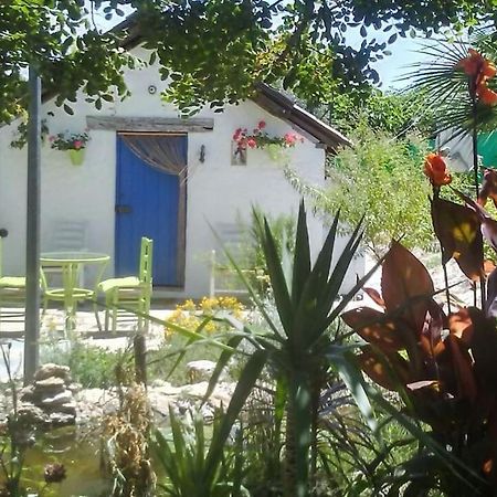 Vivienda Rural La Choza Βίλα Χέρεζ Εξωτερικό φωτογραφία