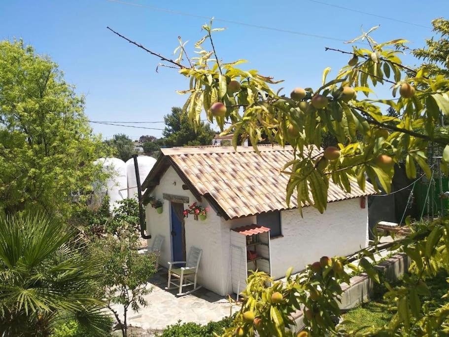 Vivienda Rural La Choza Βίλα Χέρεζ Εξωτερικό φωτογραφία