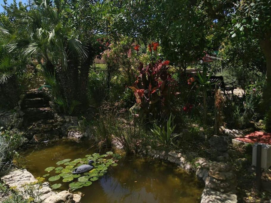 Vivienda Rural La Choza Βίλα Χέρεζ Εξωτερικό φωτογραφία