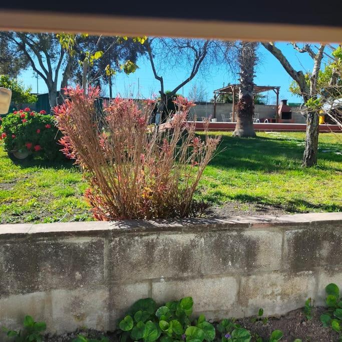 Vivienda Rural La Choza Βίλα Χέρεζ Εξωτερικό φωτογραφία